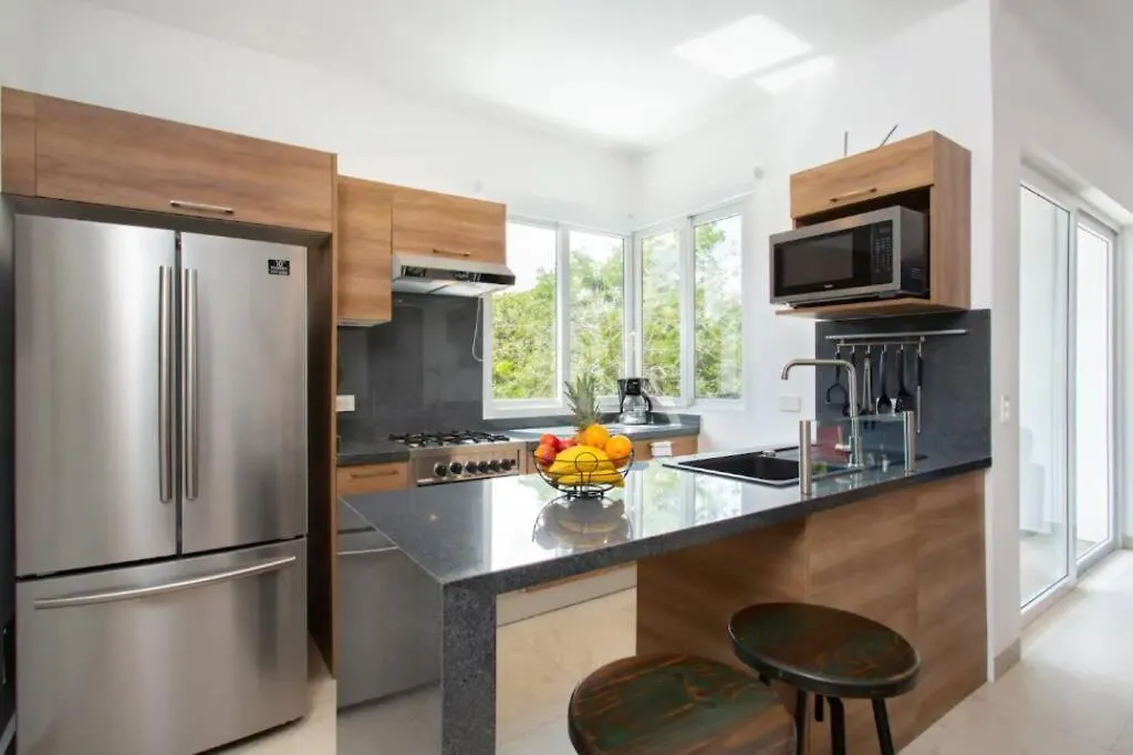 Penthouse Akumal Condo